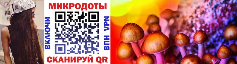 Галлюциногенные грибы мицелий  Купить  Петрозаводск 